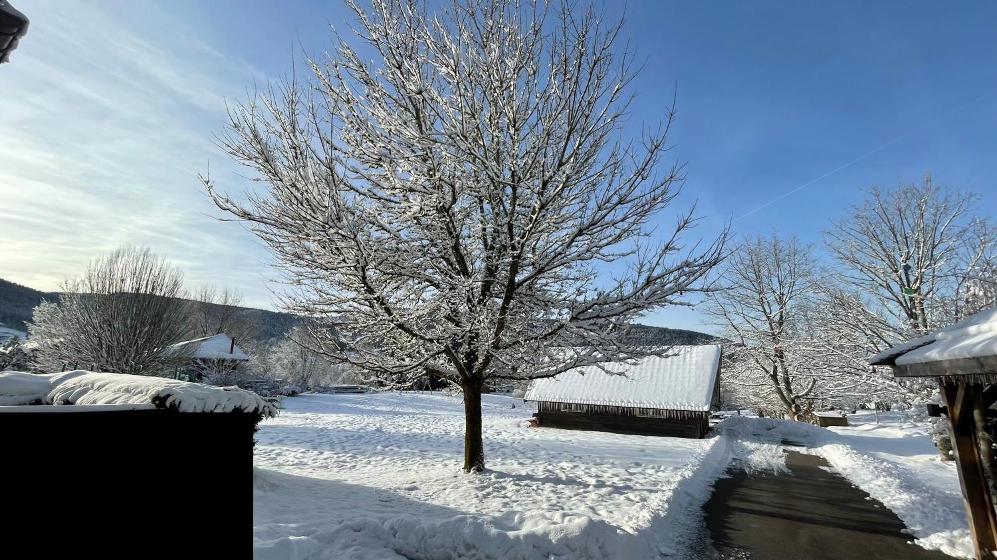 ※ Residence Pomme De Pin - Terrasse - Nature ※ Xonrupt-Longemer Kültér fotó